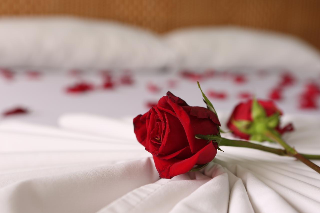 Hotel Anamichu Suites เมลการ์ ภายนอก รูปภาพ